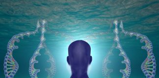 Se préparer à une nouvelle conscience